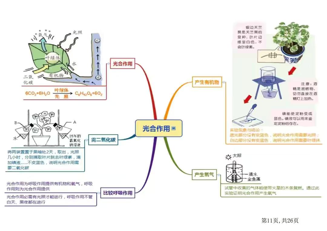 如何学好七年级生物并拿到满分？（逆袭学习方法的秘密）插图