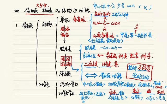 高中生物能否冲击满分(生物基础能否助你拿高分)?插图