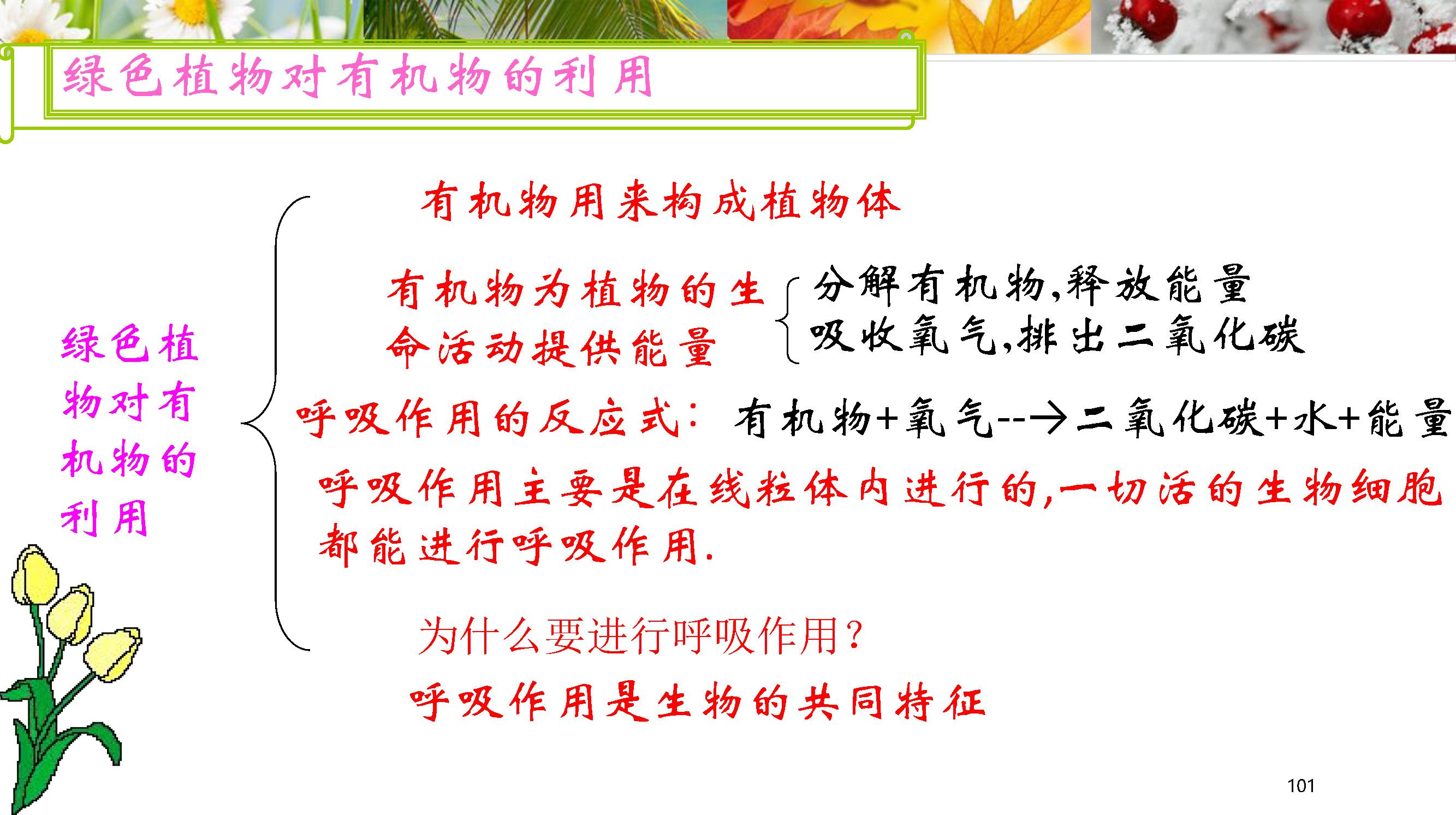 怎样才能在初二会考中轻松取得满分？学习技巧大揭秘插图