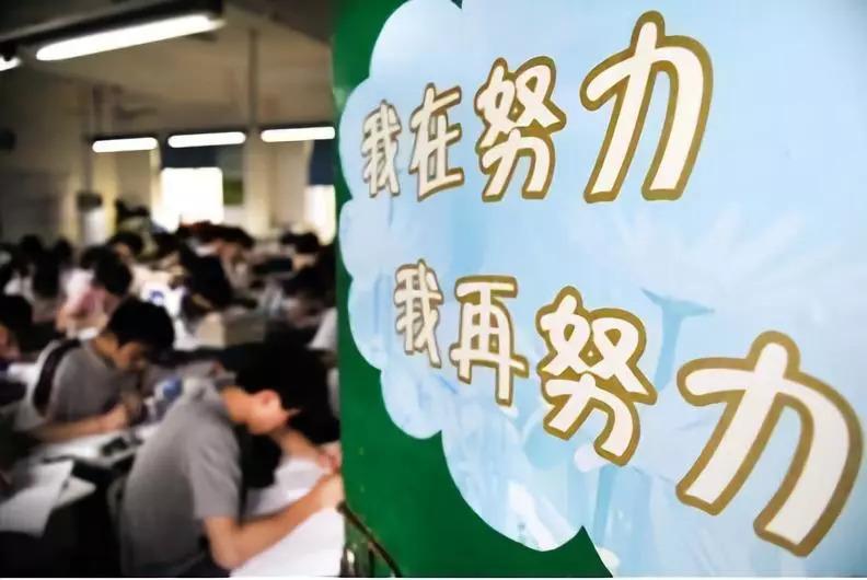 假期如何有效提升语文能力？插图