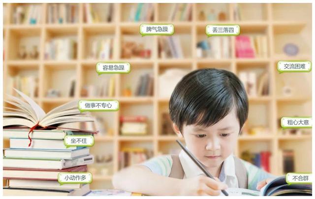幼儿园应该采用哪些学习方法来培养孩子的多元智能并促进全面发展？插图