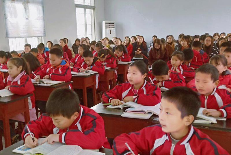 怎样可以高效且有效地学习语文？(语文学习四步走？)插图