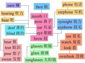 如何有效增加词汇储备？插图