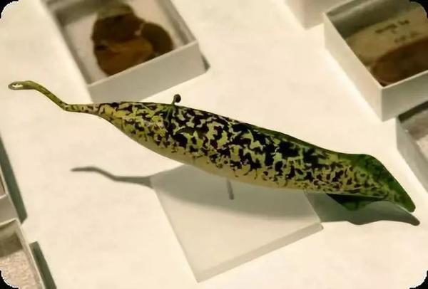 怎样才能将高中生物成绩从60分提高？插图