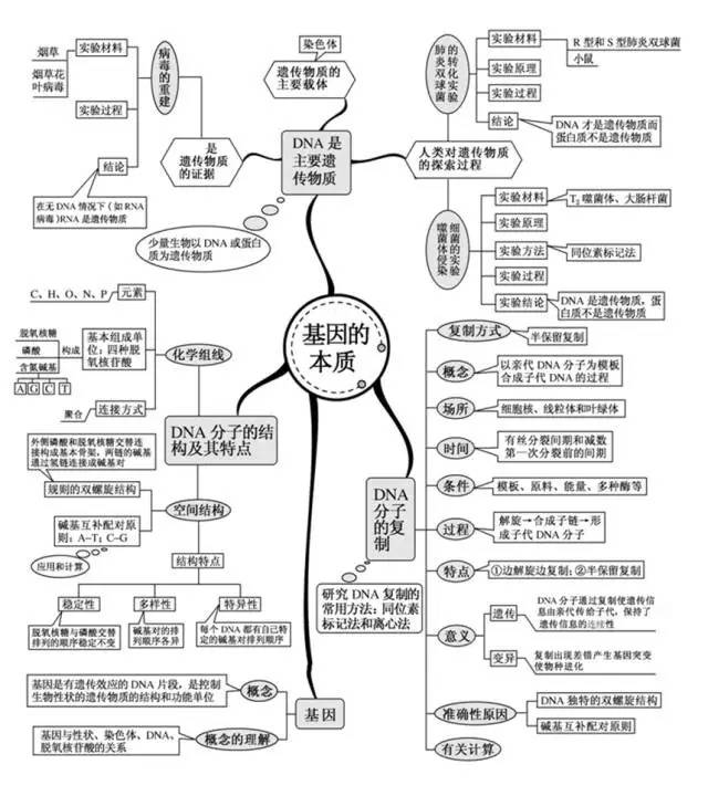 半个月突击能否涨20分，高二生物成绩能提高多少？插图