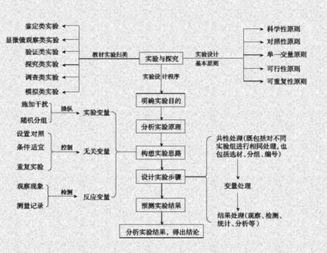 生物解题能力如何提升？有哪些有效方法？插图