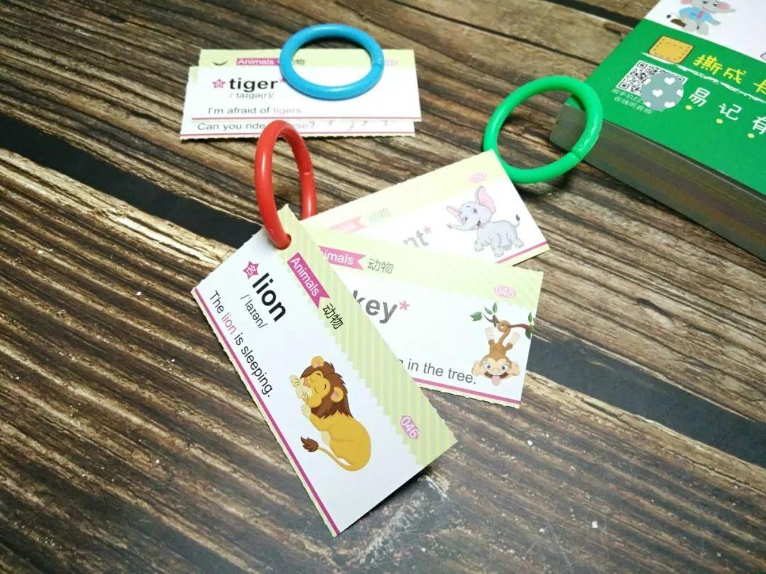 小学英语需要掌握什么内容，一年级家长应该关注哪些方面？
