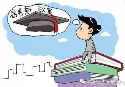 高中哪个学科最容易拿高分？