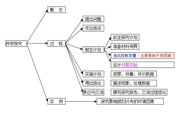 如何培养社会竞争力？如何提升社会竞争力？插图