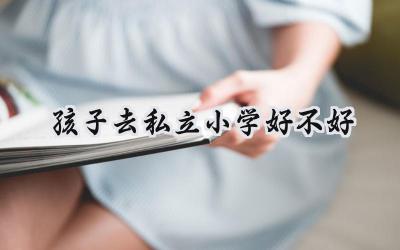 孩子去私立小学好不好？插图