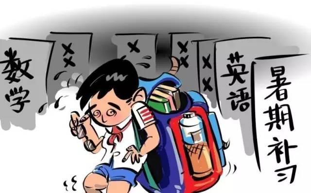 数学启蒙的黄金期，如何抓住？如何提供有效的支持？插图