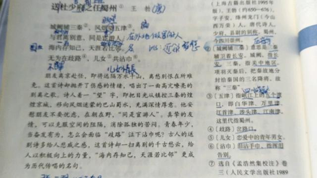 八年级语文阅读理解：如何突破？期末考试备考攻略：有何秘诀？插图