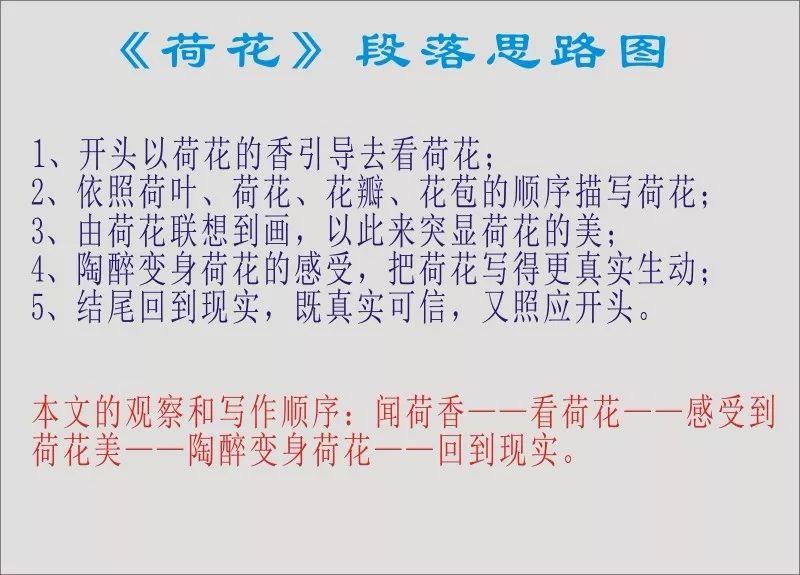 如何写出好作文？写出好作文的有效步骤是什么？插图