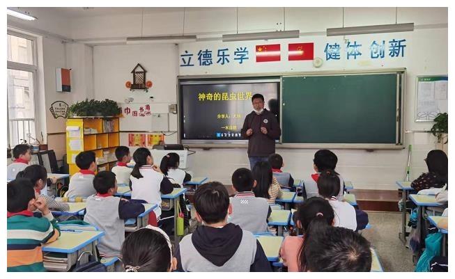 昆虫的世界：关于它们，你了解多少？插图
