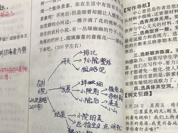 初中生如何练习语文作文，才能轻松提分？学霸们都有哪些独家秘笈？插图