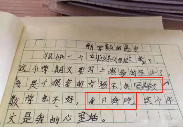 初一怎么学好阅读理解？学好阅读理解需要哪些步骤？插图