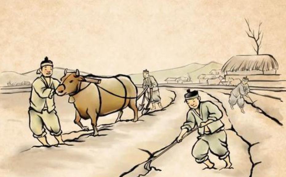 怎么灵活应用知识点(掌握和应用知识点的方法)插图
