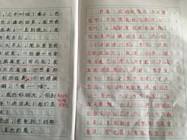 高中议论文怎么才能拿高分？怎样才能提高议论文写作水平？插图