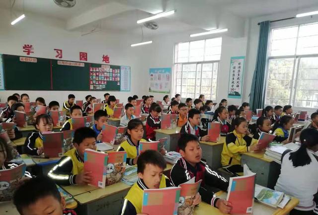 如何学好文科文科学习的误区与应对策略插图