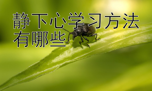 静下心学习方法有哪些，提升学习专注力的实用技巧插图