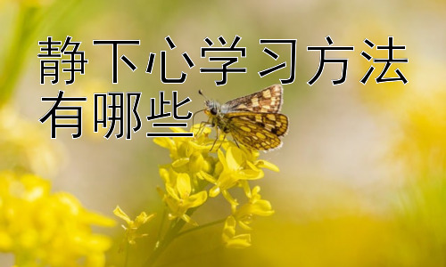 静下心学习方法有哪些，提高专注力的小技巧插图