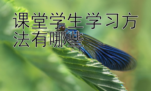 课堂学生学习方法有哪些，拓展：如何克服课堂学习中的常见问题插图