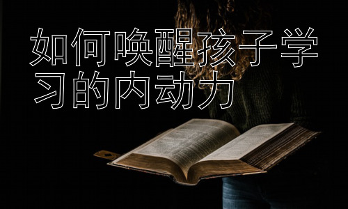 如何唤醒孩子学习的内动力，培养孩子的学习韧性：克服学习困难的关键插图