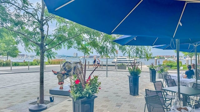 让你知道花儿为什么这样红， 花色与植物进化策略：一个更广阔的视角插图2