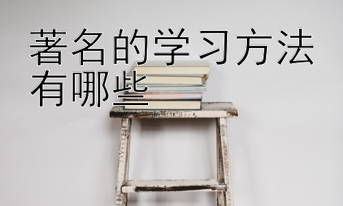 著名的学习方法有哪些，  学习方法的选择与个性化调整插图