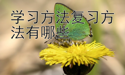 学习方法复习方法有哪些， 提升学习效率的策略：时间管理与学习环境优化插图