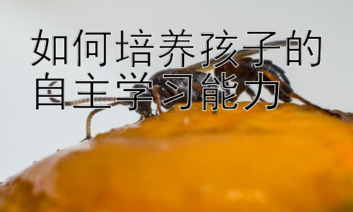 如何培养孩子的自主学习能力， 提升孩子学习动机的策略：从内驱力出发插图