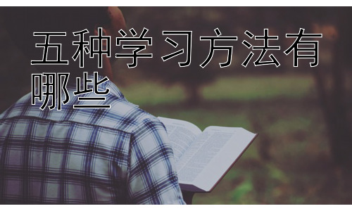 五种学习方法有哪些，不同学习风格与学习方法的匹配插图