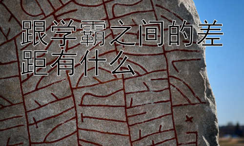 跟学霸之间的差距有什么， 学霸的学习资源获取与利用策略插图