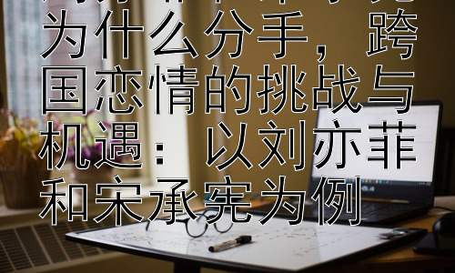刘亦菲和宋承宪为什么分手，跨国恋情的挑战与机遇：以刘亦菲和宋承宪为例插图
