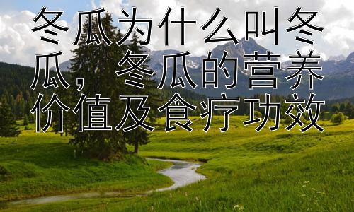 冬瓜为什么叫冬瓜，冬瓜的营养价值及食疗功效插图