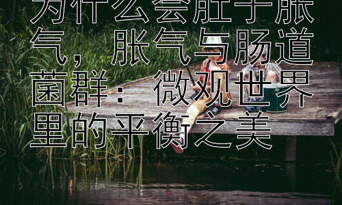 为什么会肚子胀气，胀气与肠道菌群：微观世界里的平衡之美插图