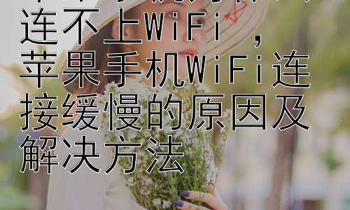 苹果手机为什么连不上WiFi ，  苹果手机WiFi连接缓慢的原因及解决方法插图
