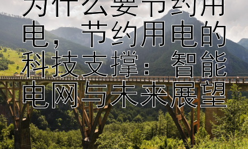为什么要节约用电，节约用电的科技支撑：智能电网与未来展望插图
