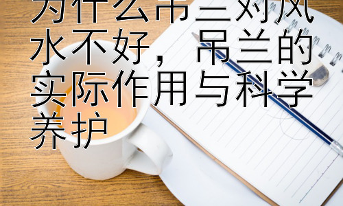 为什么吊兰对风水不好，吊兰的实际作用与科学养护插图