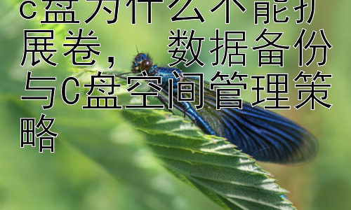 c盘为什么不能扩展卷， 数据备份与C盘空间管理策略插图