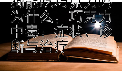狗能吃巧克力吗为什么，巧克力中毒：症状、诊断与治疗插图