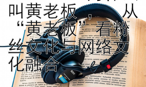 edsheeran为什么叫黄老板 ，  从“黄老板”看粉丝文化与网络文化融合插图