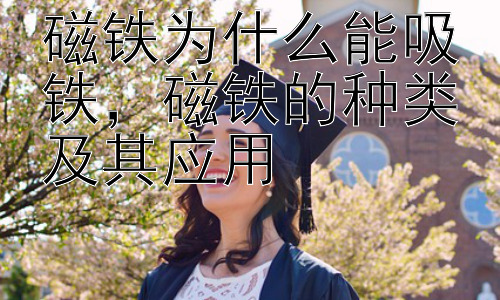 磁铁为什么能吸铁，磁铁的种类及其应用插图