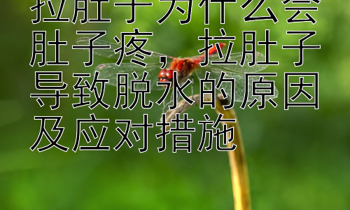 拉肚子为什么会肚子疼，拉肚子导致脱水的原因及应对措施插图