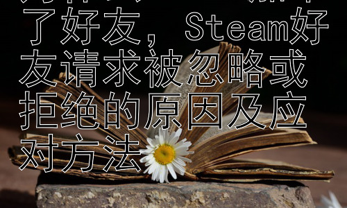 为什么steam加不了好友，Steam好友请求被忽略或拒绝的原因及应对方法-图片1