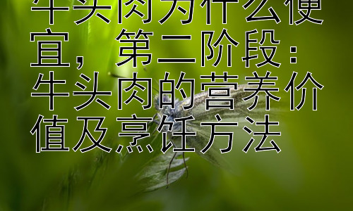 牛头肉为什么便宜，第二阶段：牛头肉的营养价值及烹饪方法插图