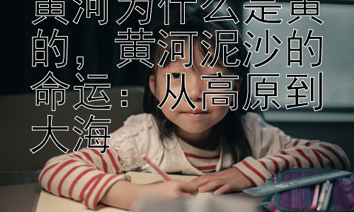 黄河为什么是黄的，黄河泥沙的命运：从高原到大海插图