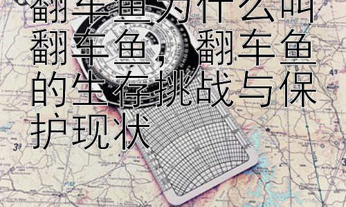 翻车鱼为什么叫翻车鱼，翻车鱼的生存挑战与保护现状插图