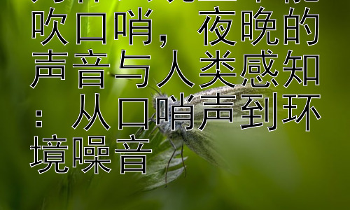 为什么晚上不能吹口哨，夜晚的声音与人类感知：从口哨声到环境噪音插图