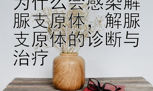 为什么会感染解脲支原体，解脲支原体的诊断与治疗插图